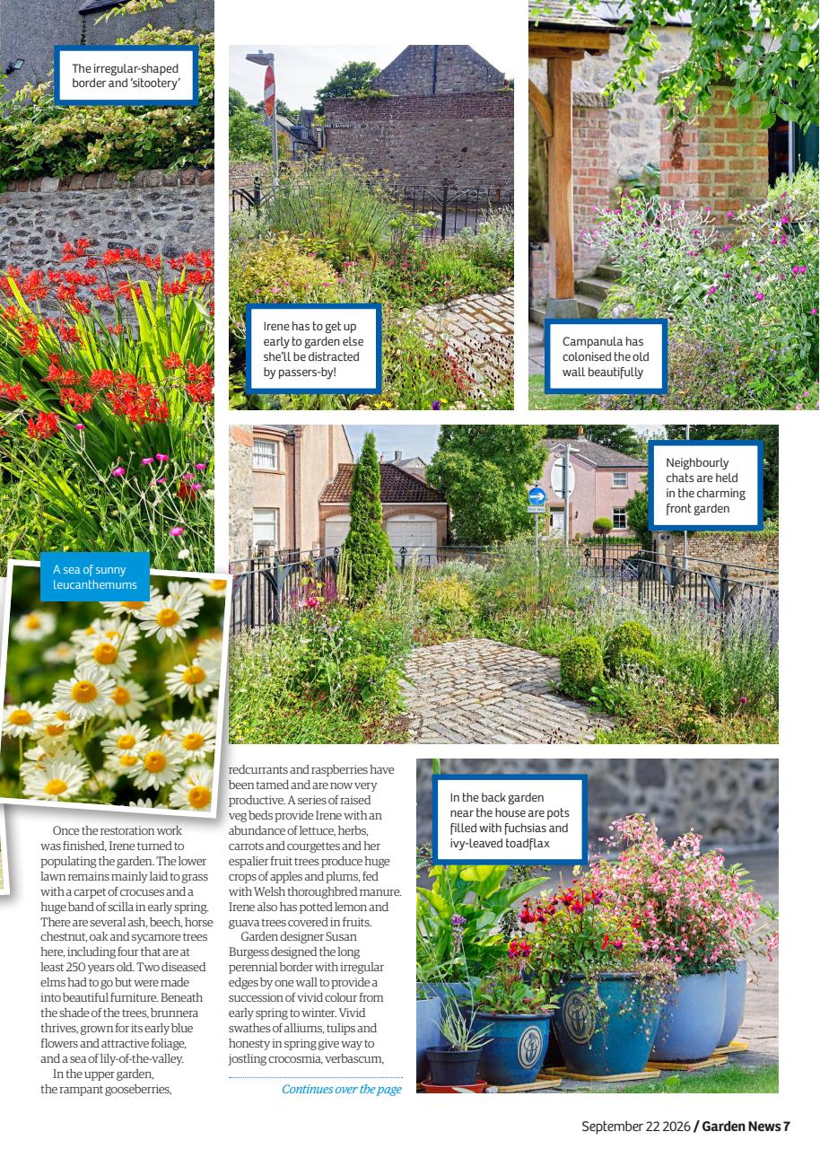 Garden News Preview Pages
