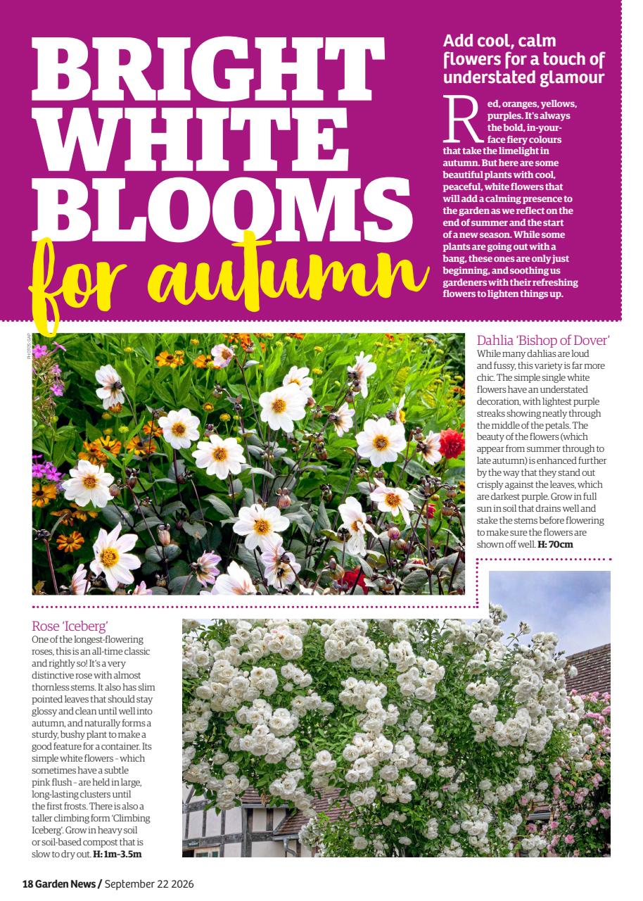 Garden News Preview Pages