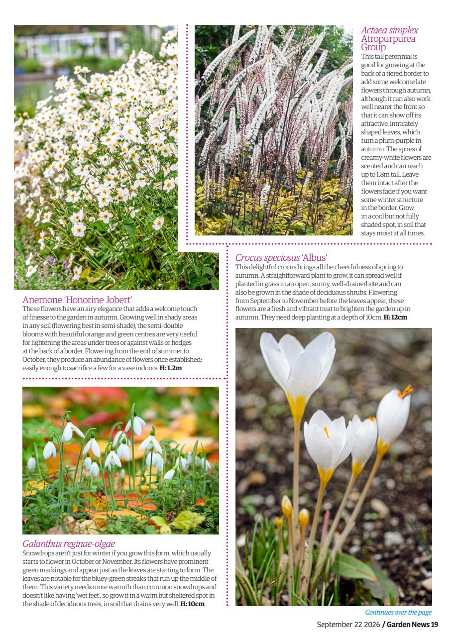Garden News Preview Pages