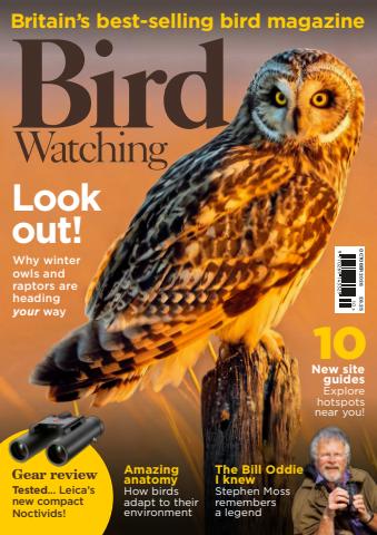 Bird Watching issue Oct-26