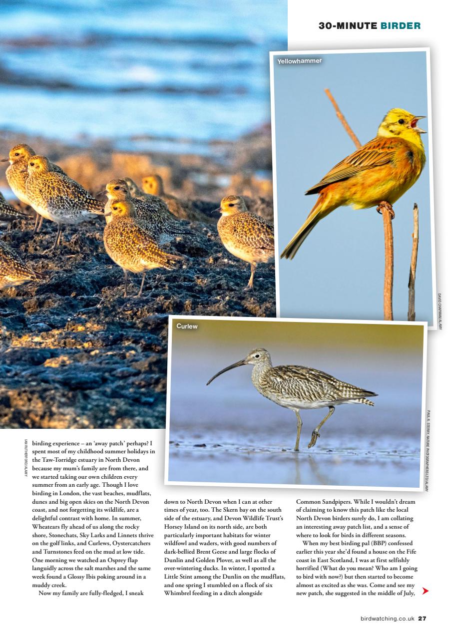 Bird Watching Preview Pages