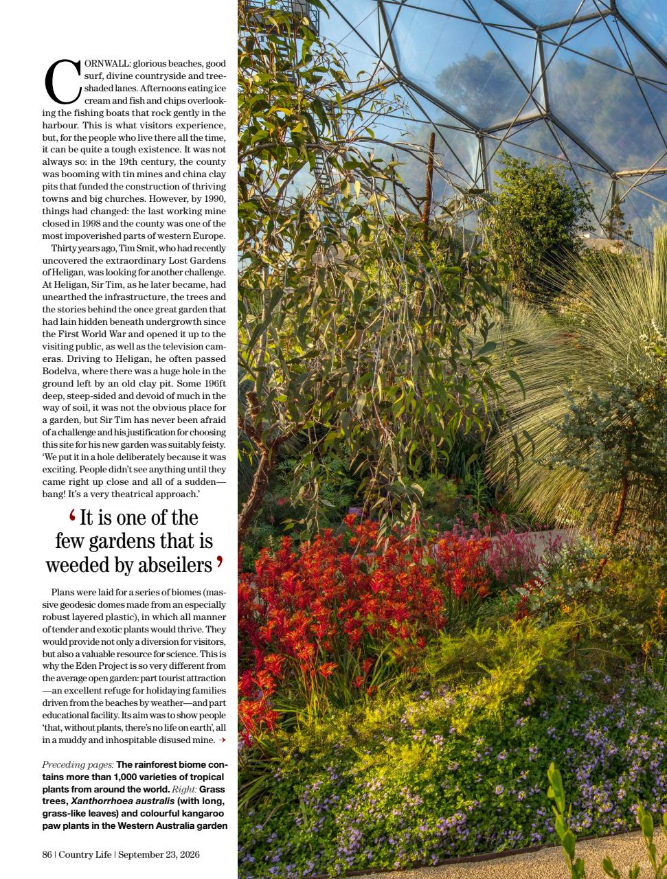 Country Life Preview Pages