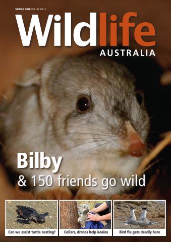 Wildlife Australia issue Spring 2026 Volume 63 Number 3