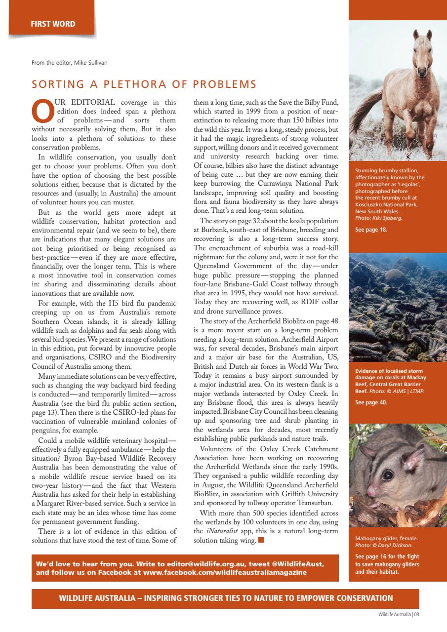 Wildlife Australia Preview Pages