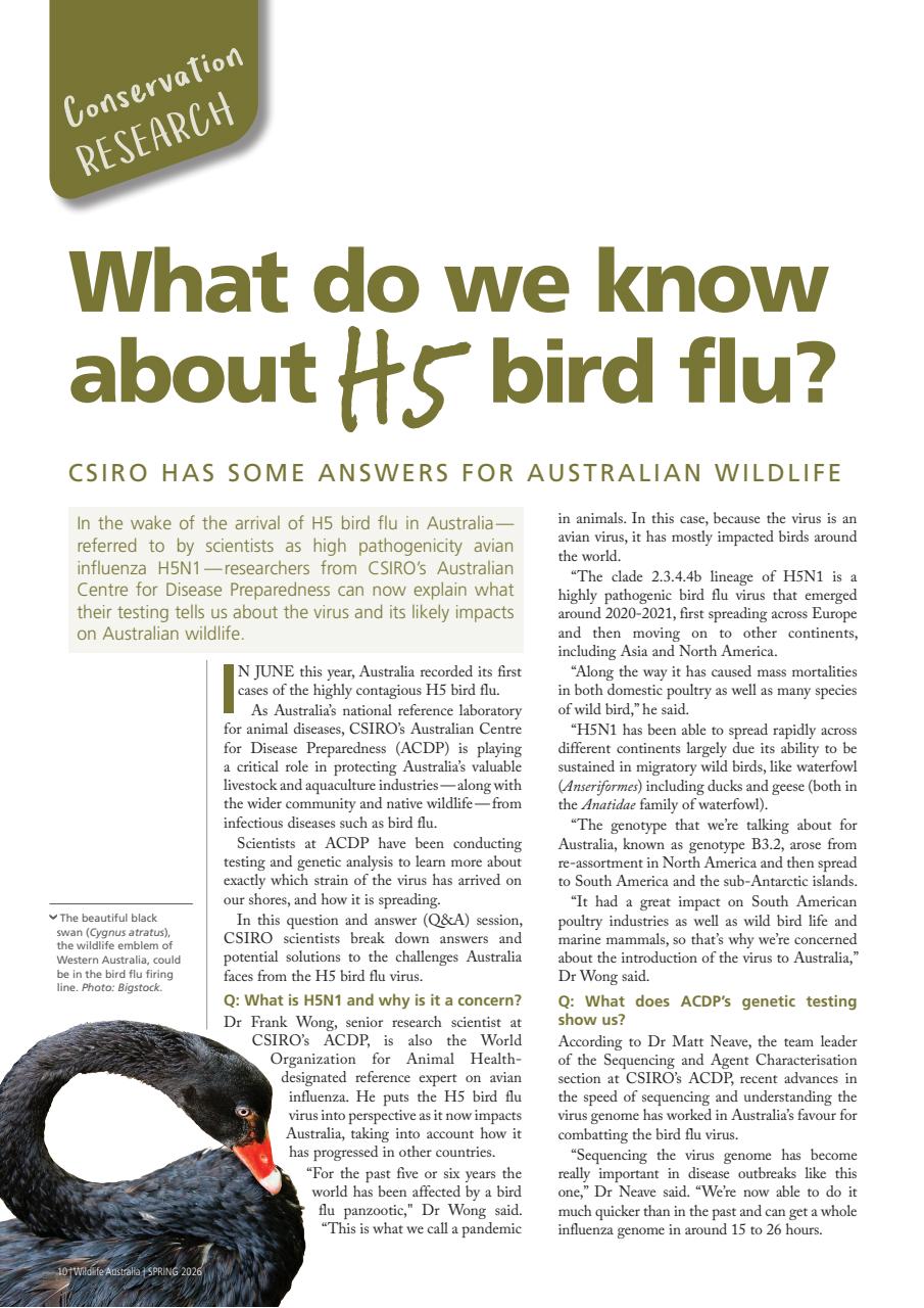 Wildlife Australia Preview Pages