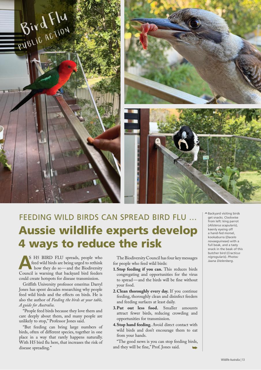 Wildlife Australia Preview Pages