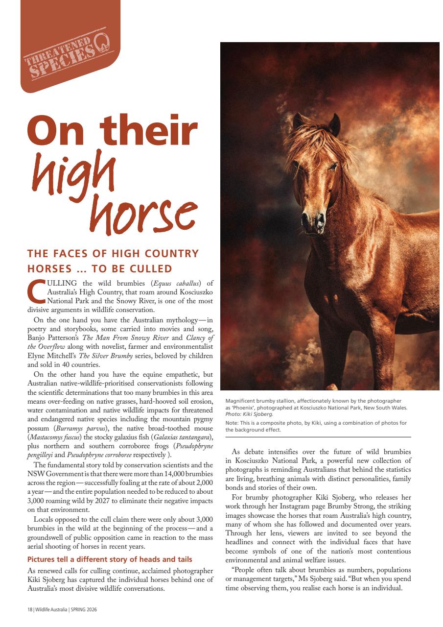 Wildlife Australia Preview Pages