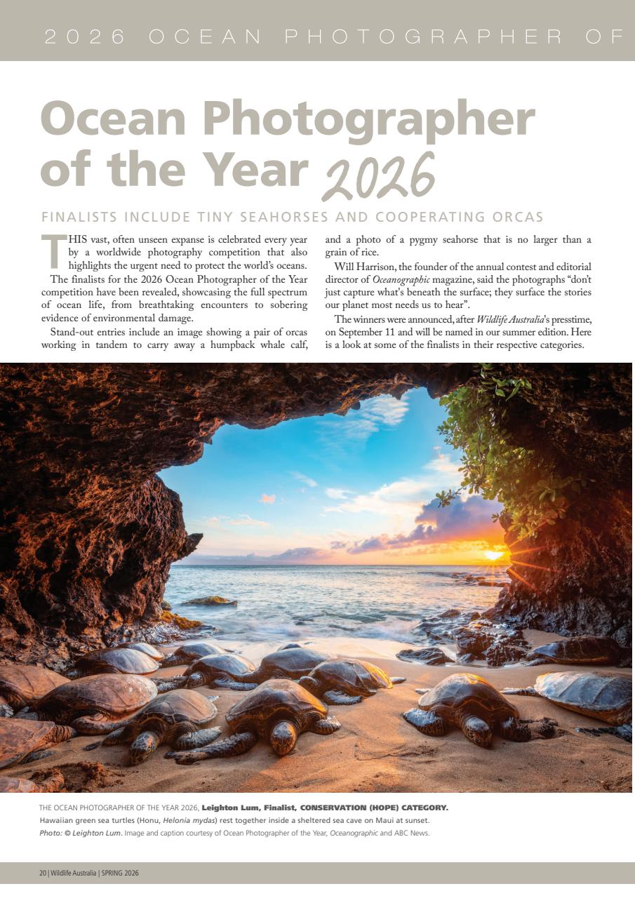 Wildlife Australia Preview Pages