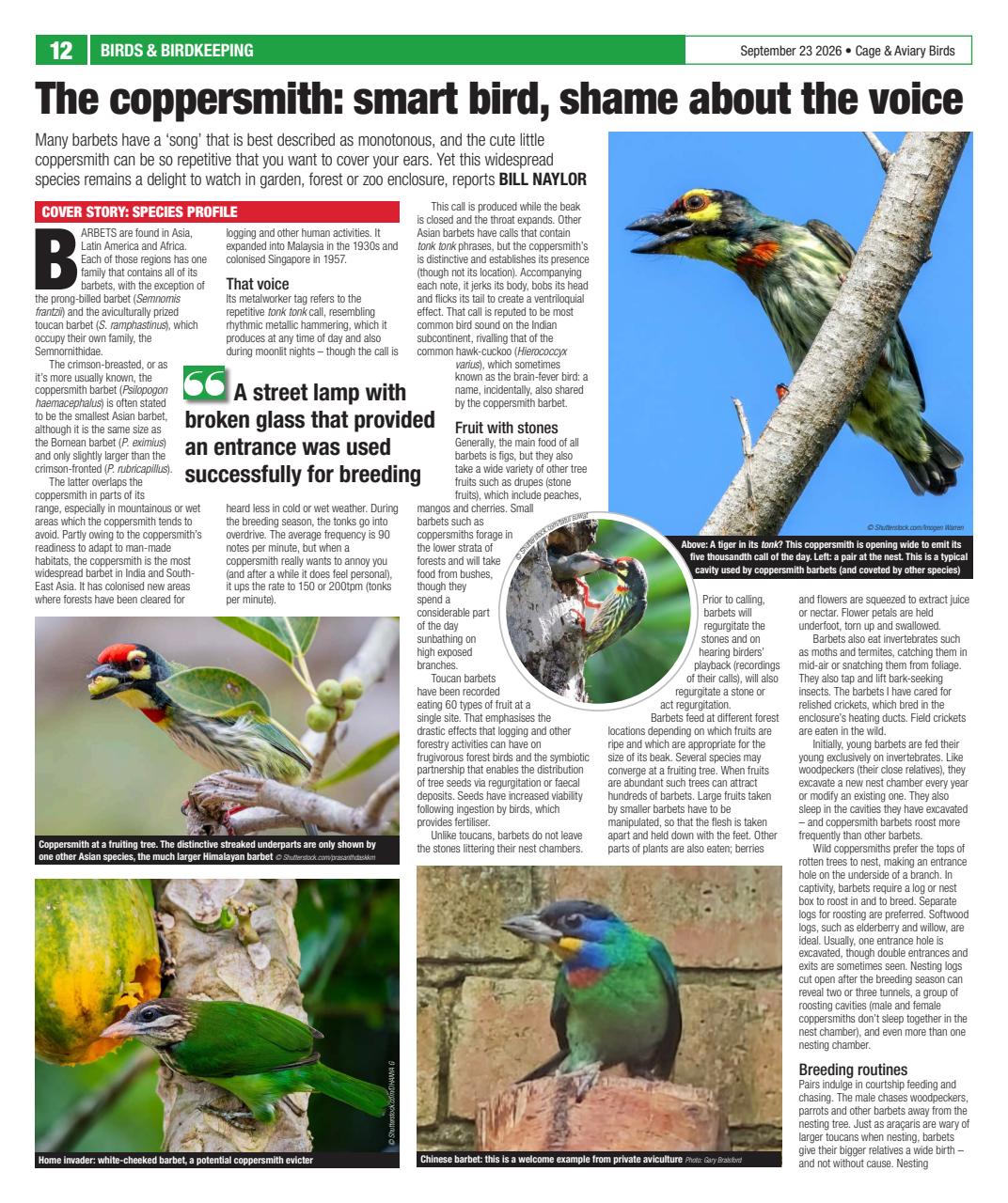Cage & Aviary Birds Preview Pages