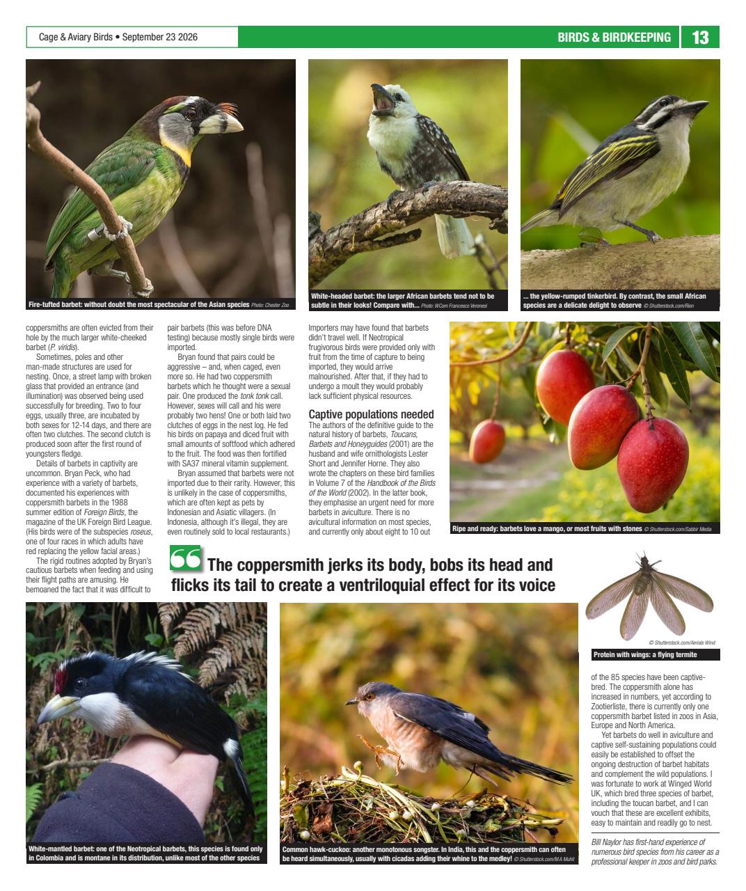 Cage & Aviary Birds Preview Pages