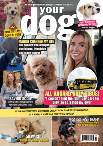 Your Dog issue All aboard Billy's bus! - Your Dog November 2026