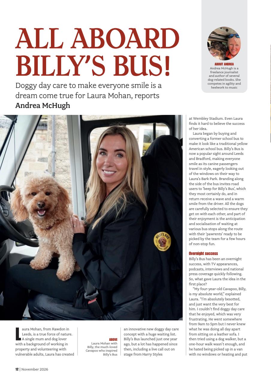 Your Dog Preview Pages