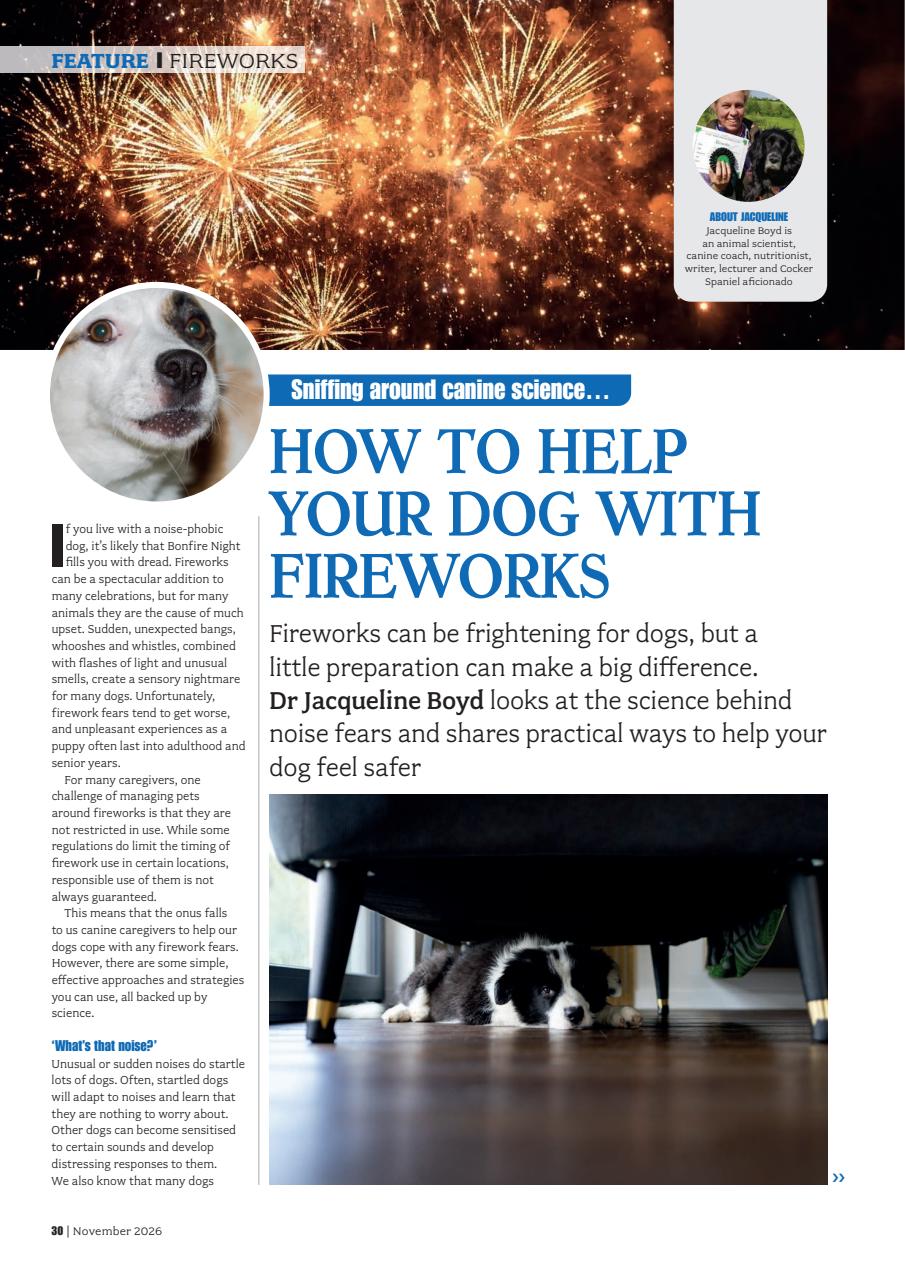 Your Dog Preview Pages
