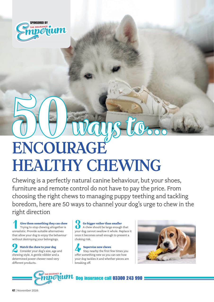 Your Dog Preview Pages