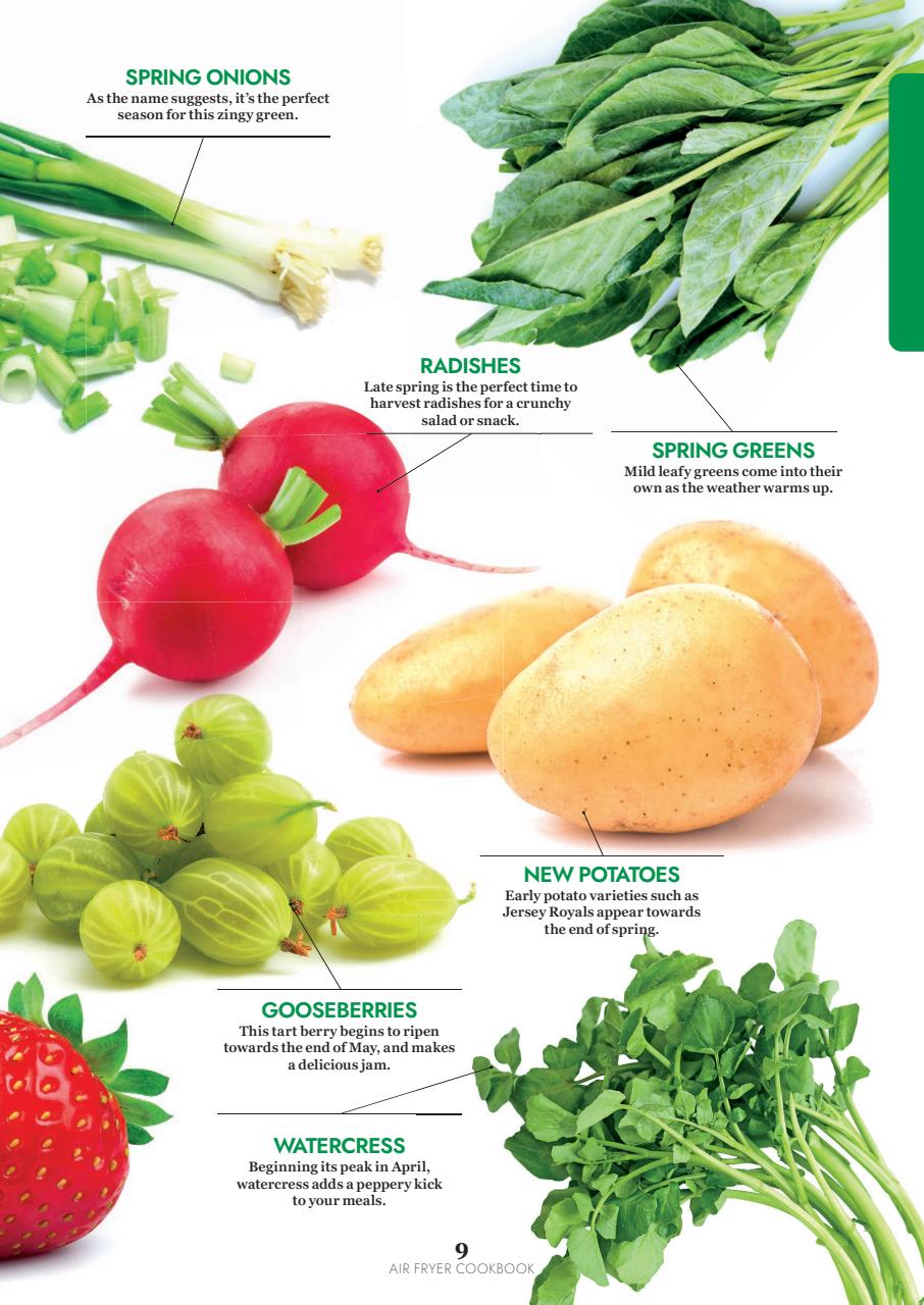 Healthy Eating Preview Pages