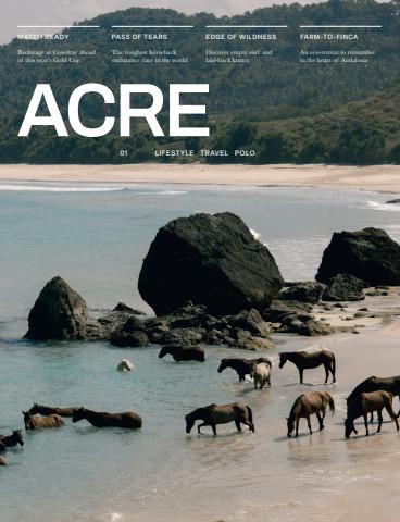 ACRE issue Issue 1