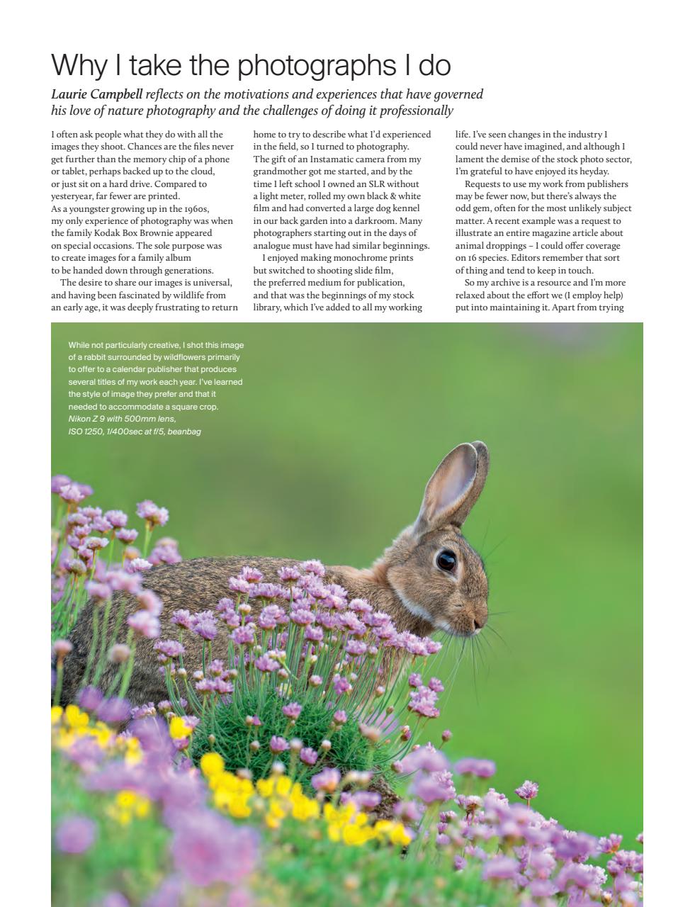 Outdoor Photography Preview Pages