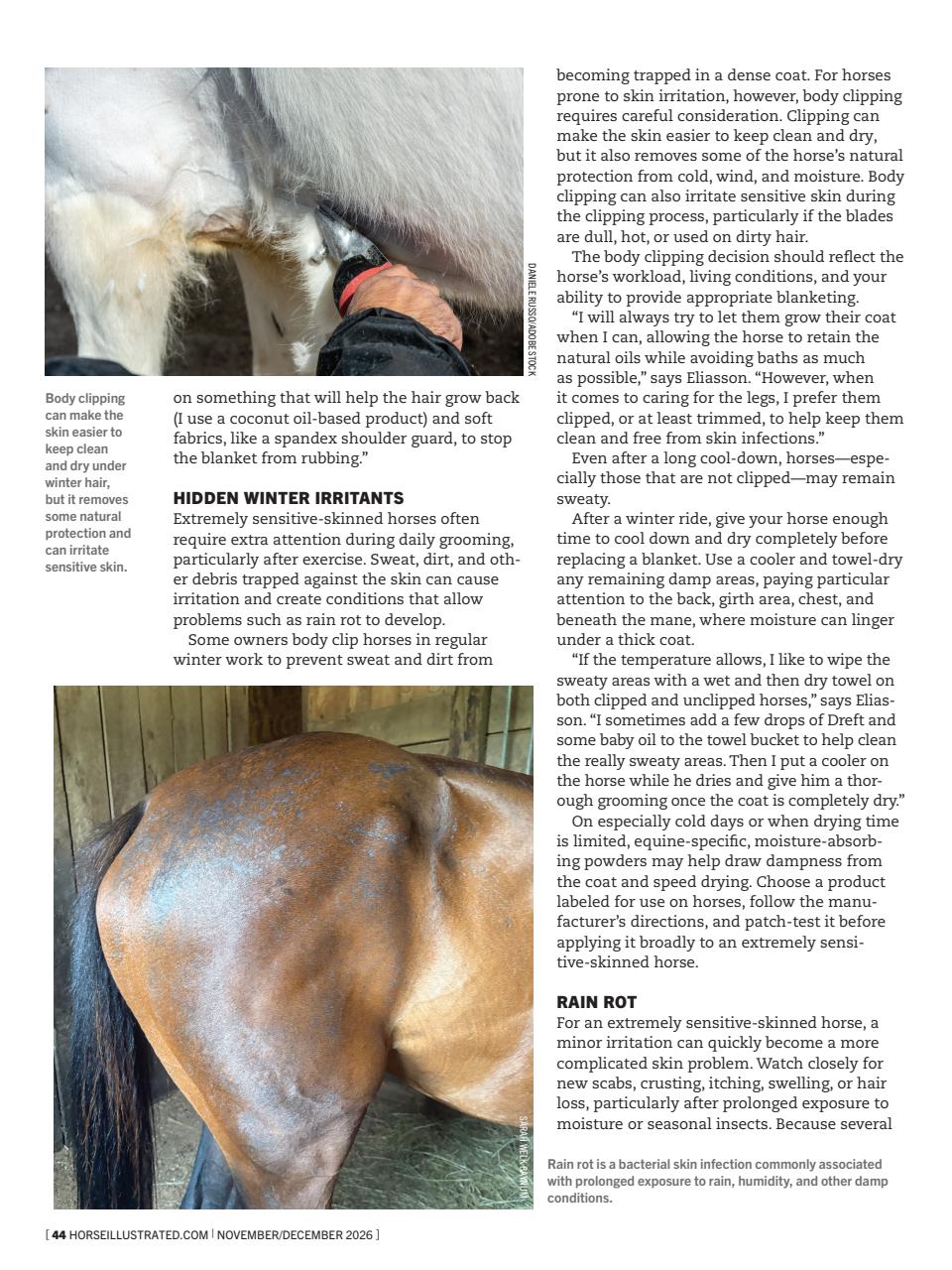 Horse Illustrated Magazine Preview Pages