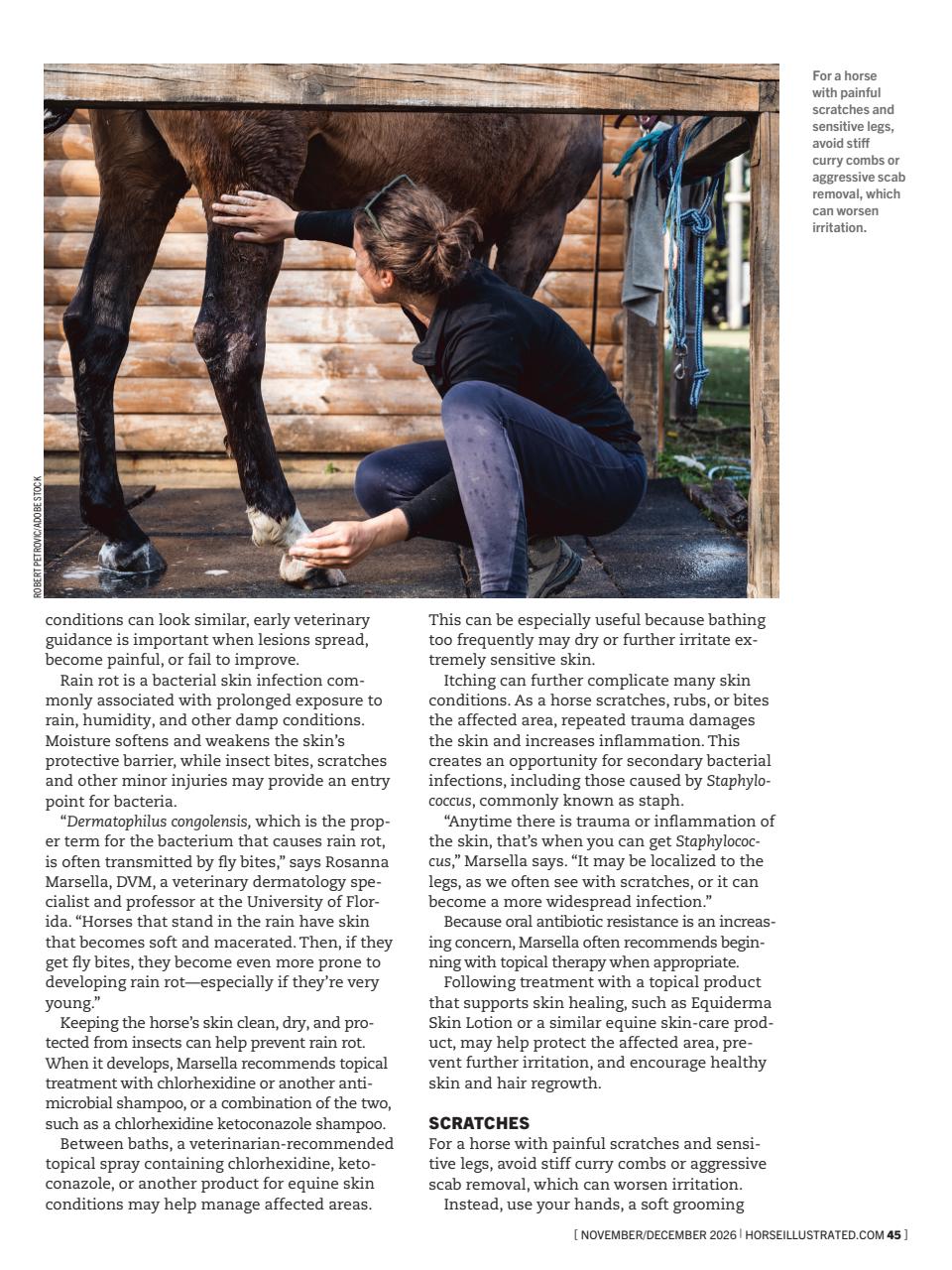 Horse Illustrated Magazine Preview Pages
