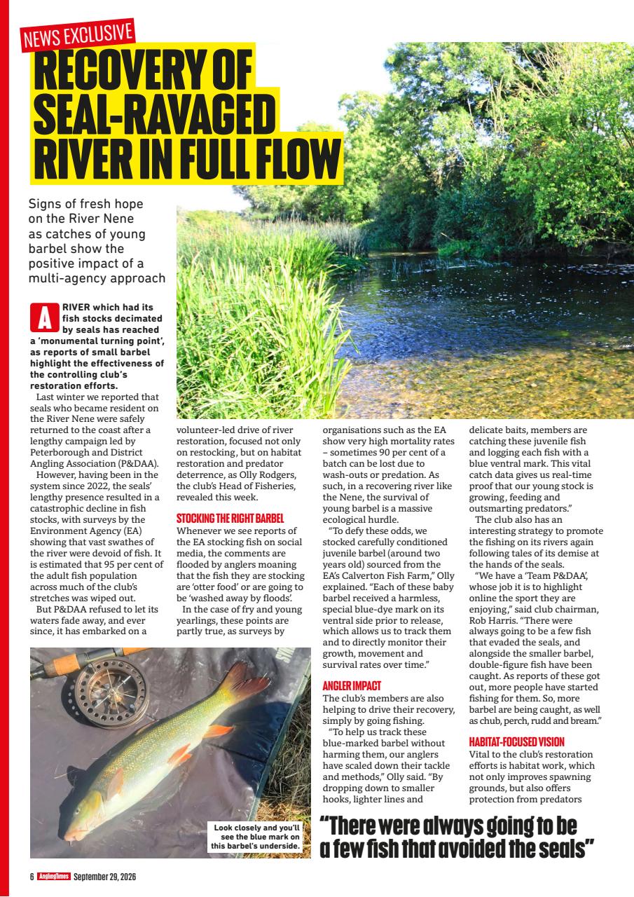 Angling Times Preview Pages