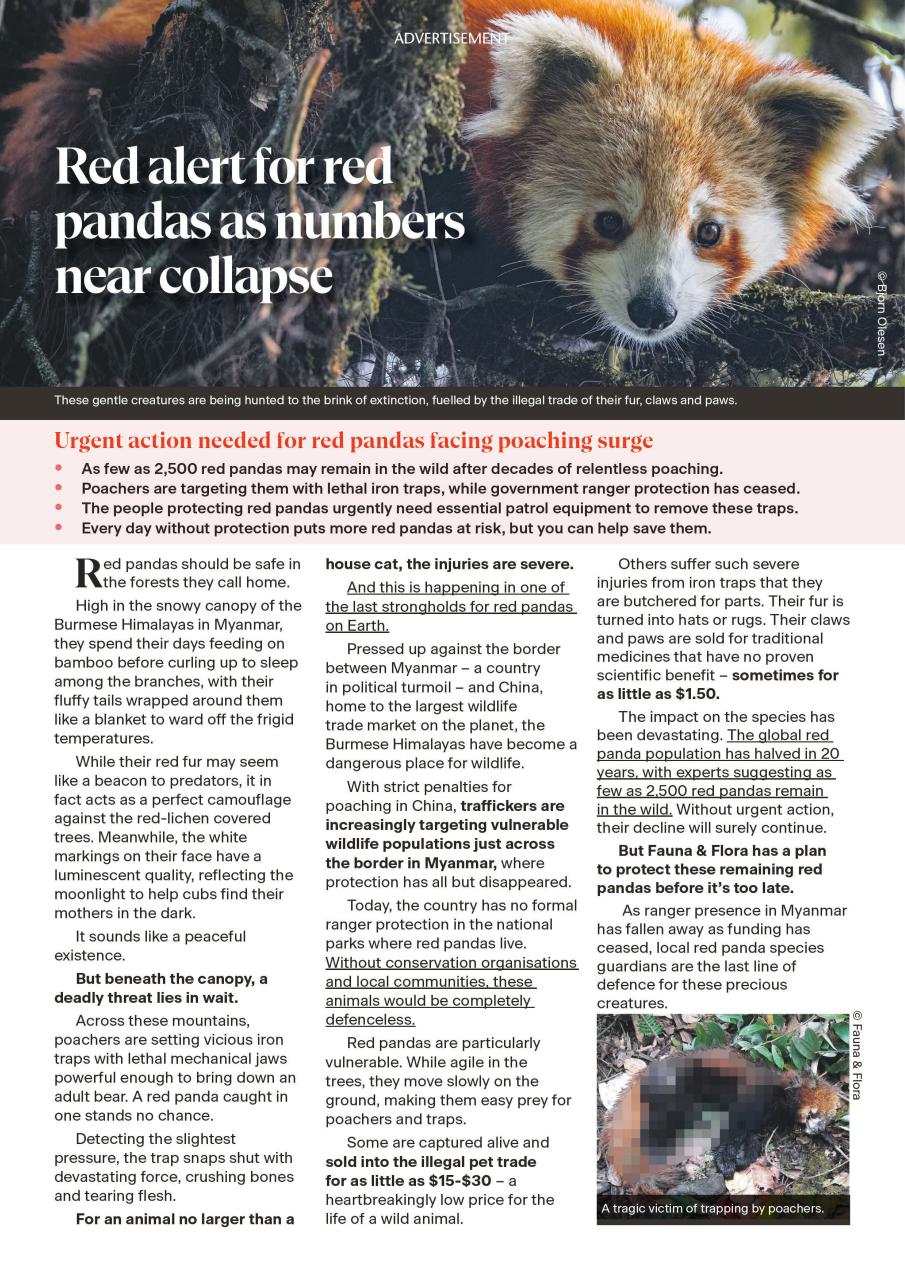 The Week Preview Pages