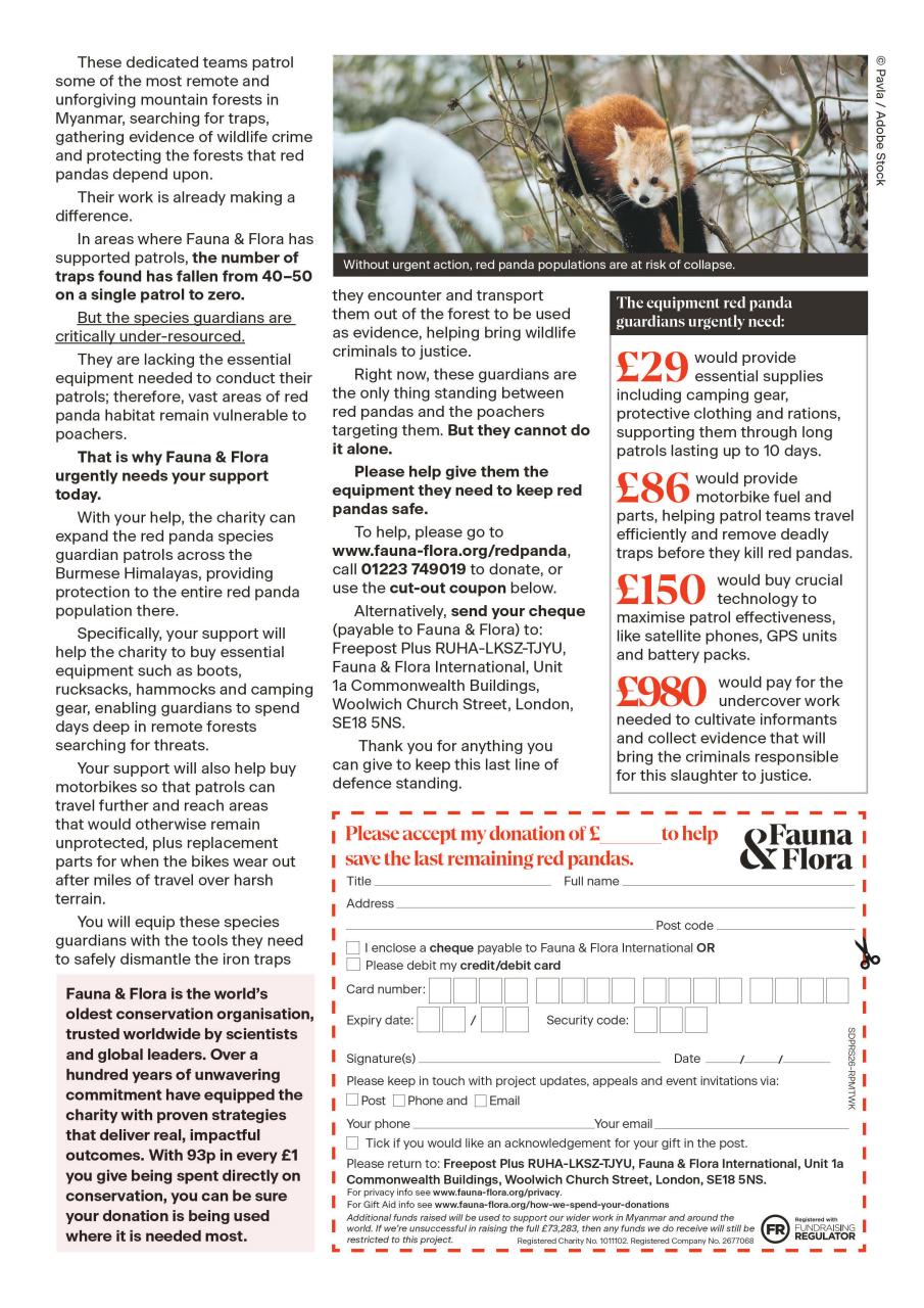 The Week Preview Pages