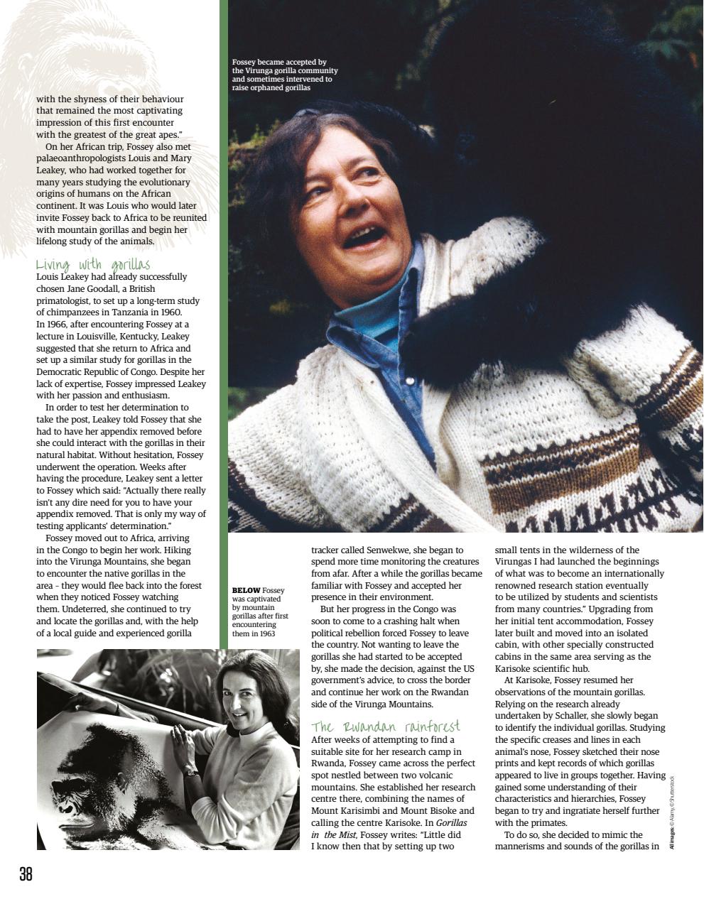All About History Preview Pages