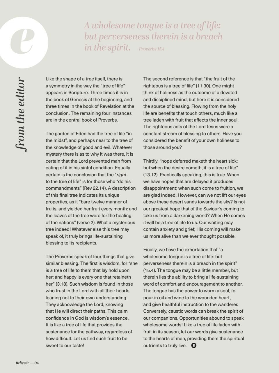 Believer Magazine Preview Pages