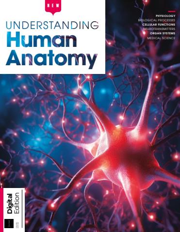 How It Works Bookazine issue How It Works Bookazine