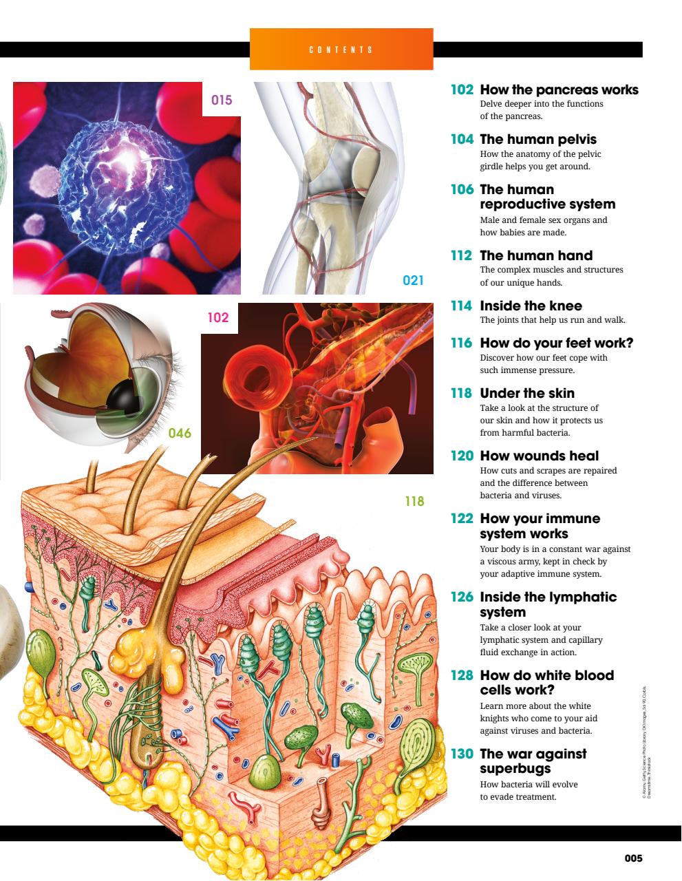How It Works Bookazine Preview Pages