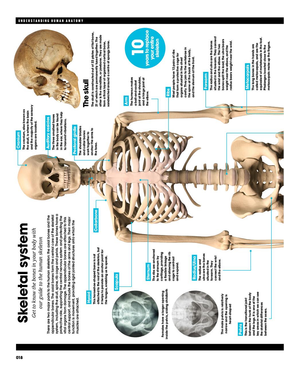 How It Works Bookazine Preview Pages