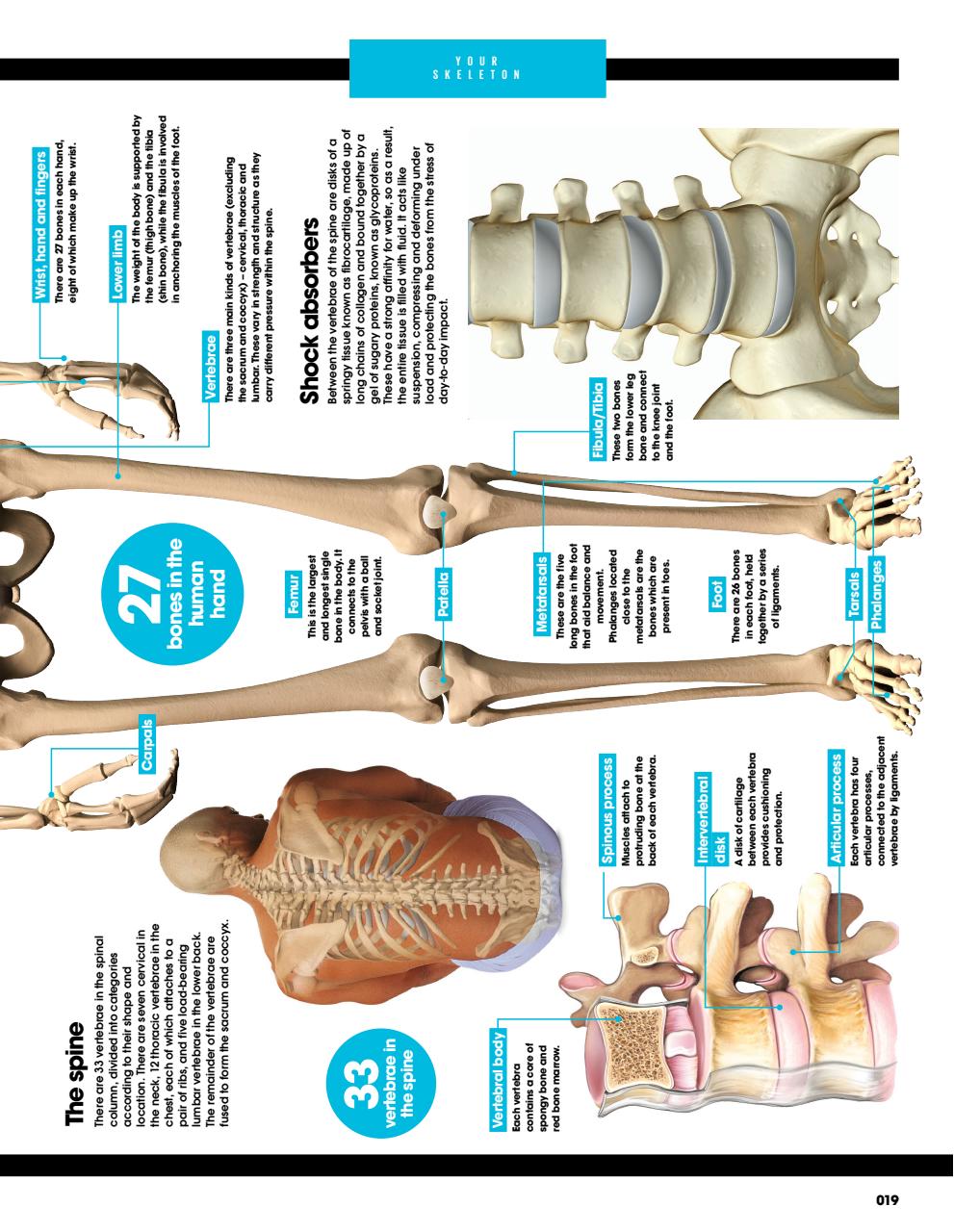 How It Works Bookazine Preview Pages