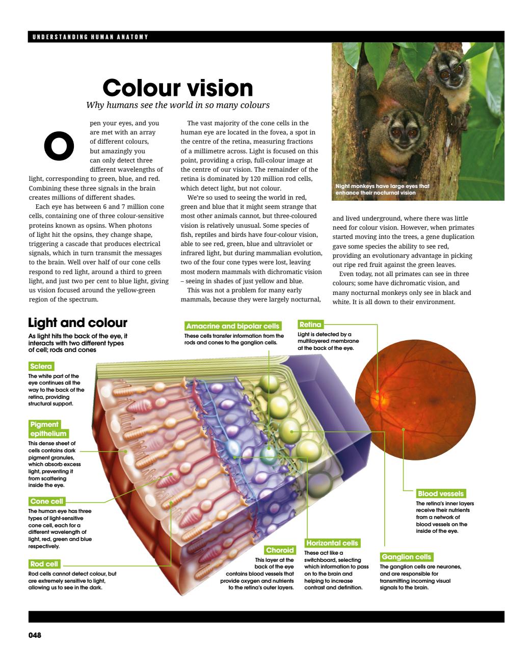 How It Works Bookazine Preview Pages