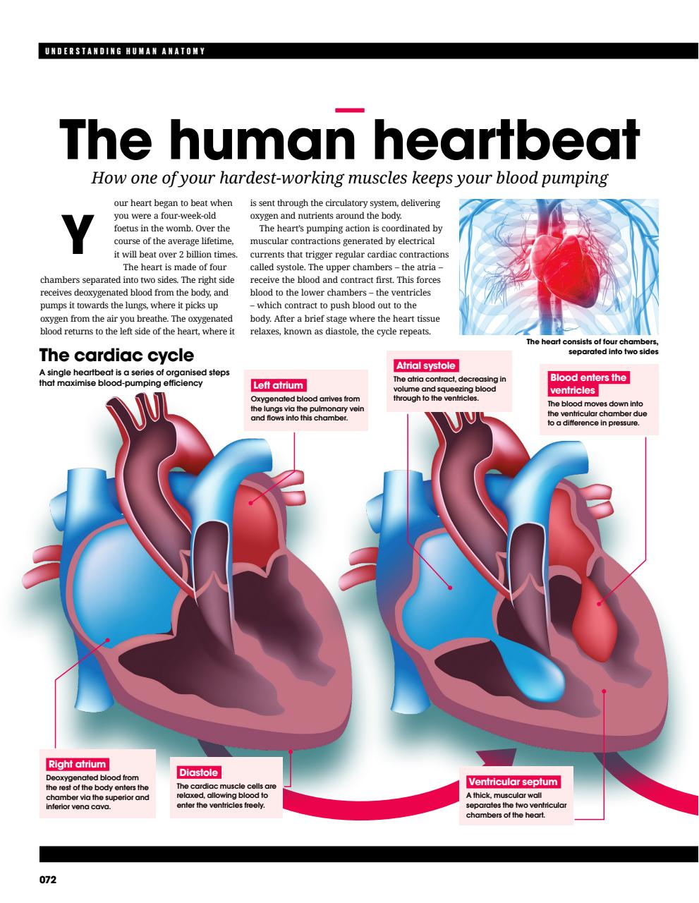How It Works Bookazine Preview Pages