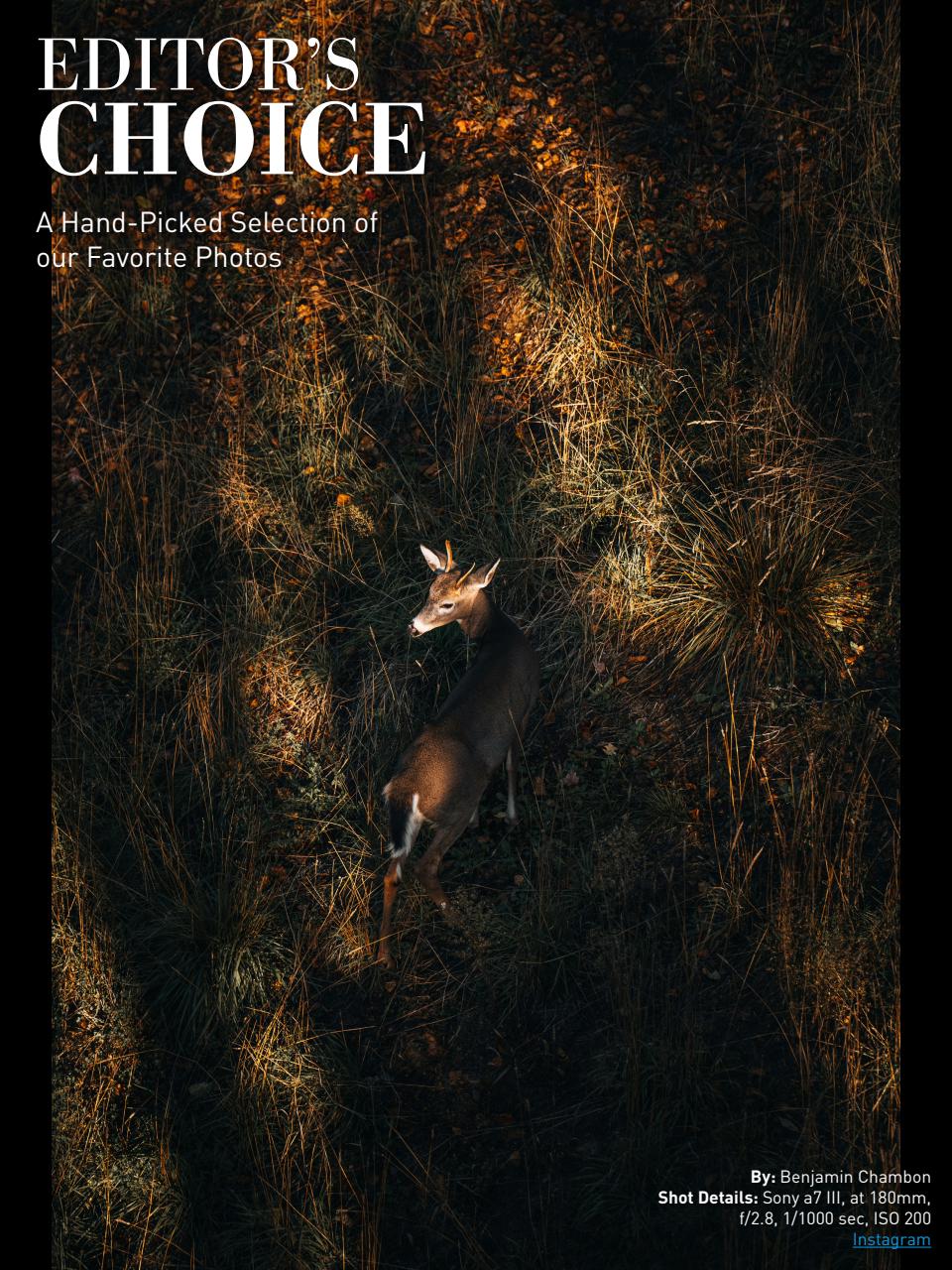 Photography Masterclass Magazine Preview Pages