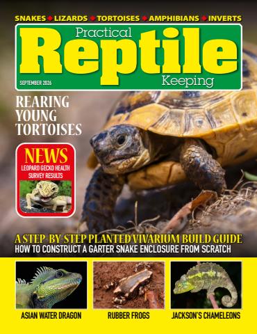 Practical Reptile Keeping issue September 2026