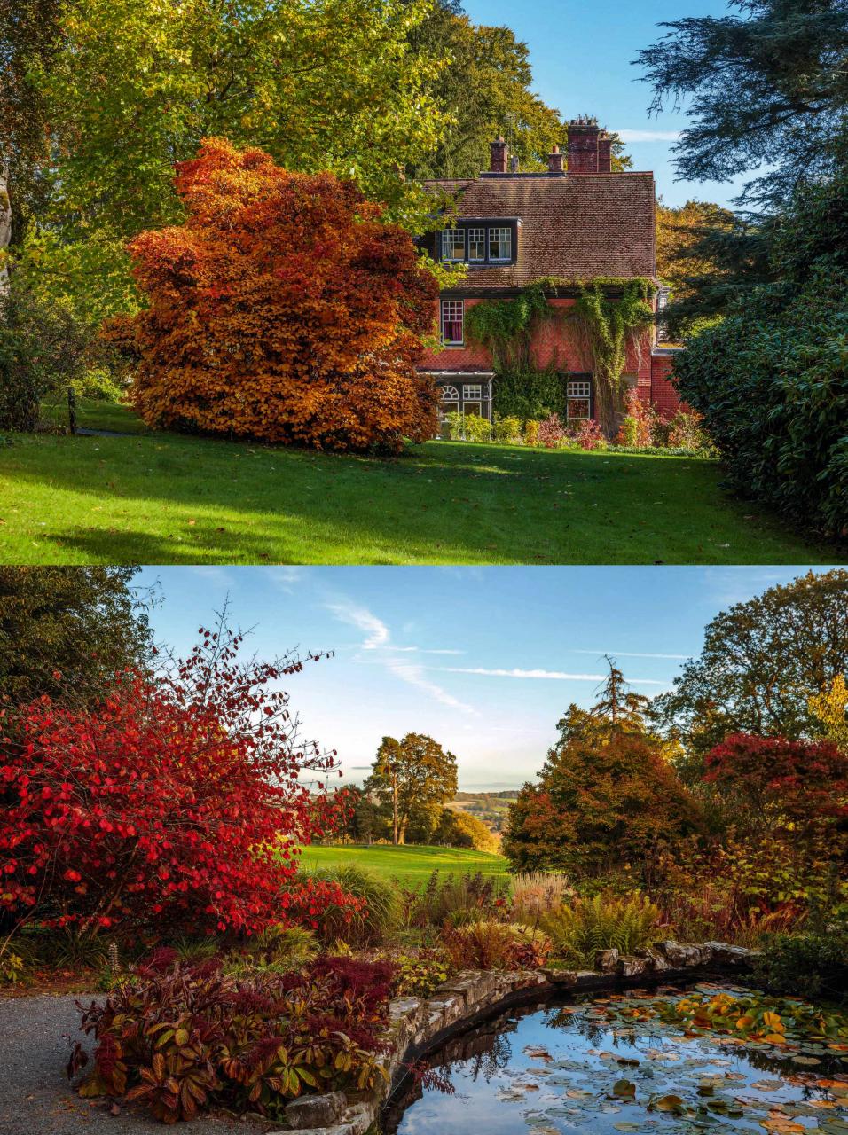 Gardens Illustrated Preview Pages