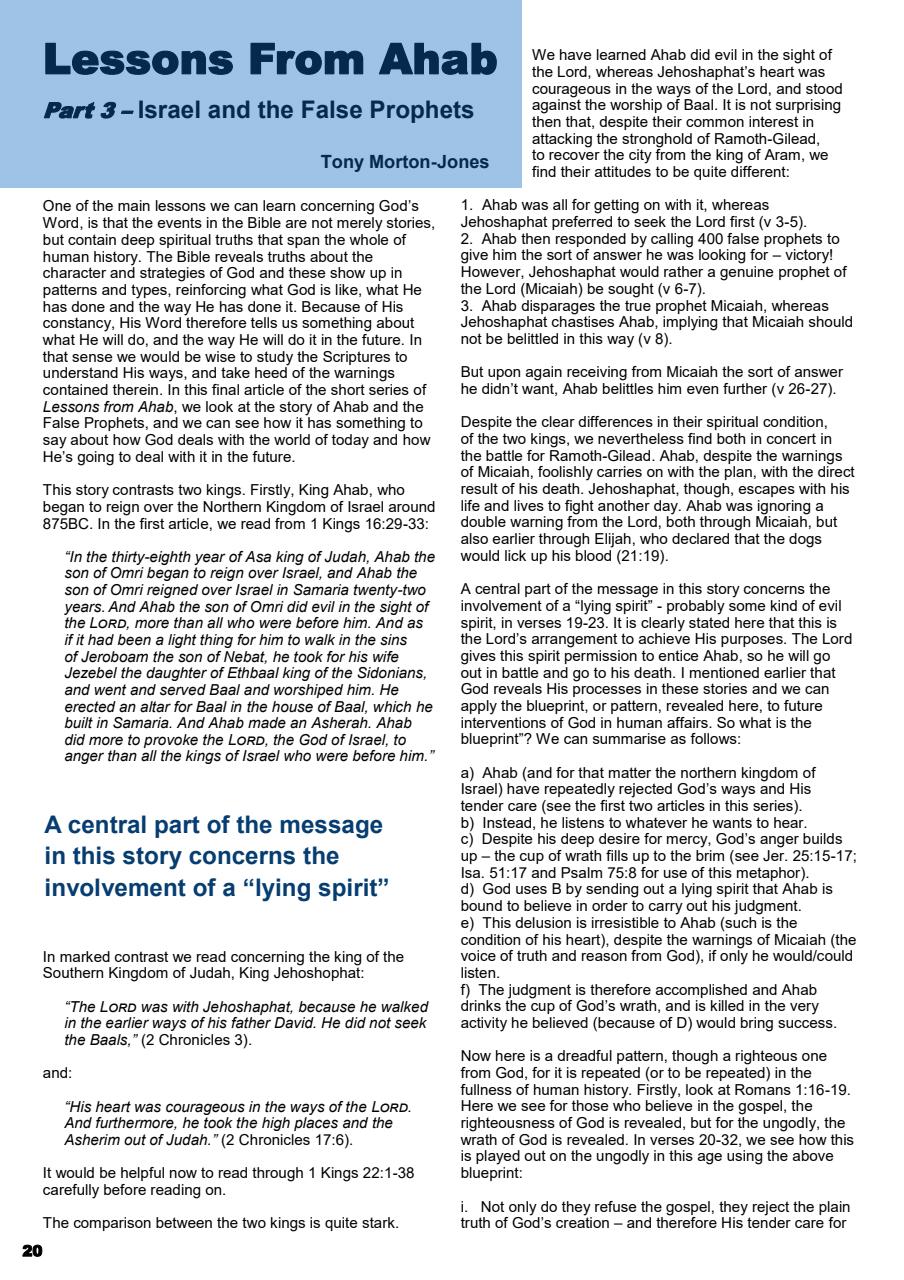 Prophetic Witness Preview Pages
