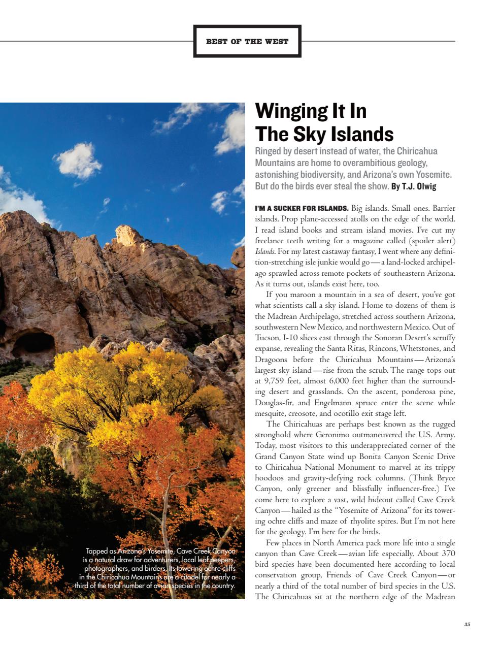 Cowboys and Indians Preview Pages
