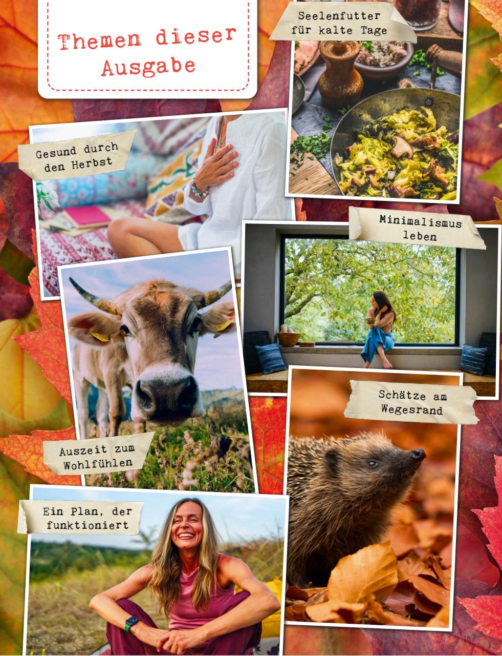 Auszeit Preview Pages