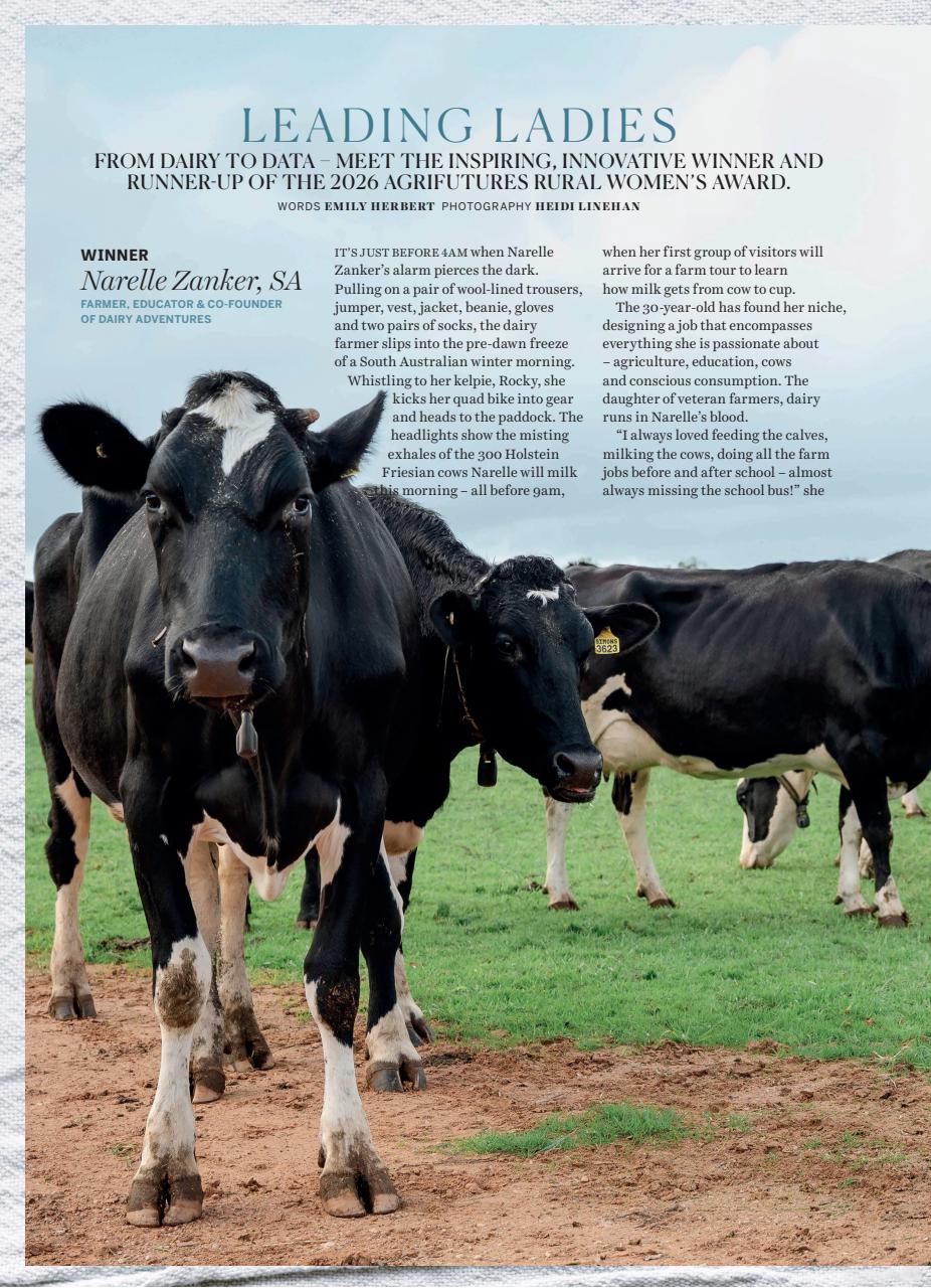 Country Style Preview Pages