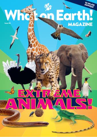 What on Earth! Magazine issue October 2026
