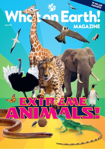 What on Earth! Magazine issue 
