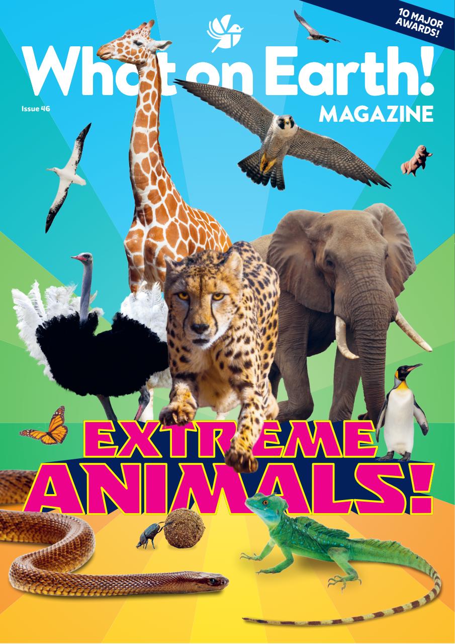 What on Earth! Magazine Preview Pages