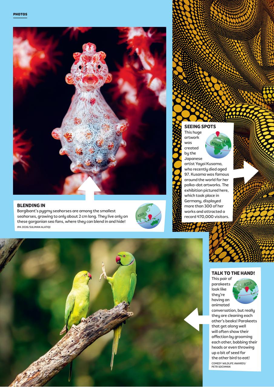 What on Earth! Magazine Preview Pages