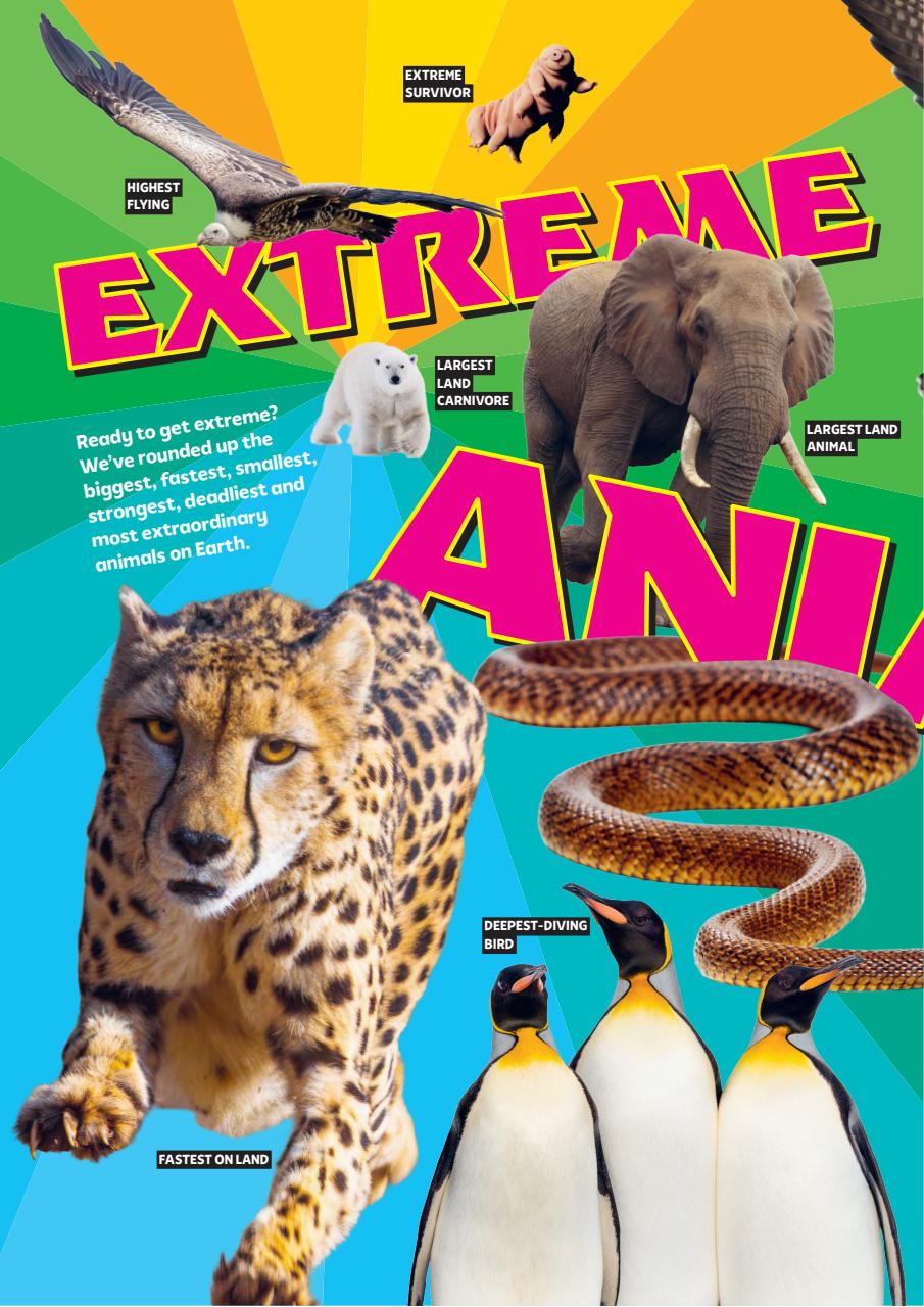 What on Earth! Magazine Preview Pages