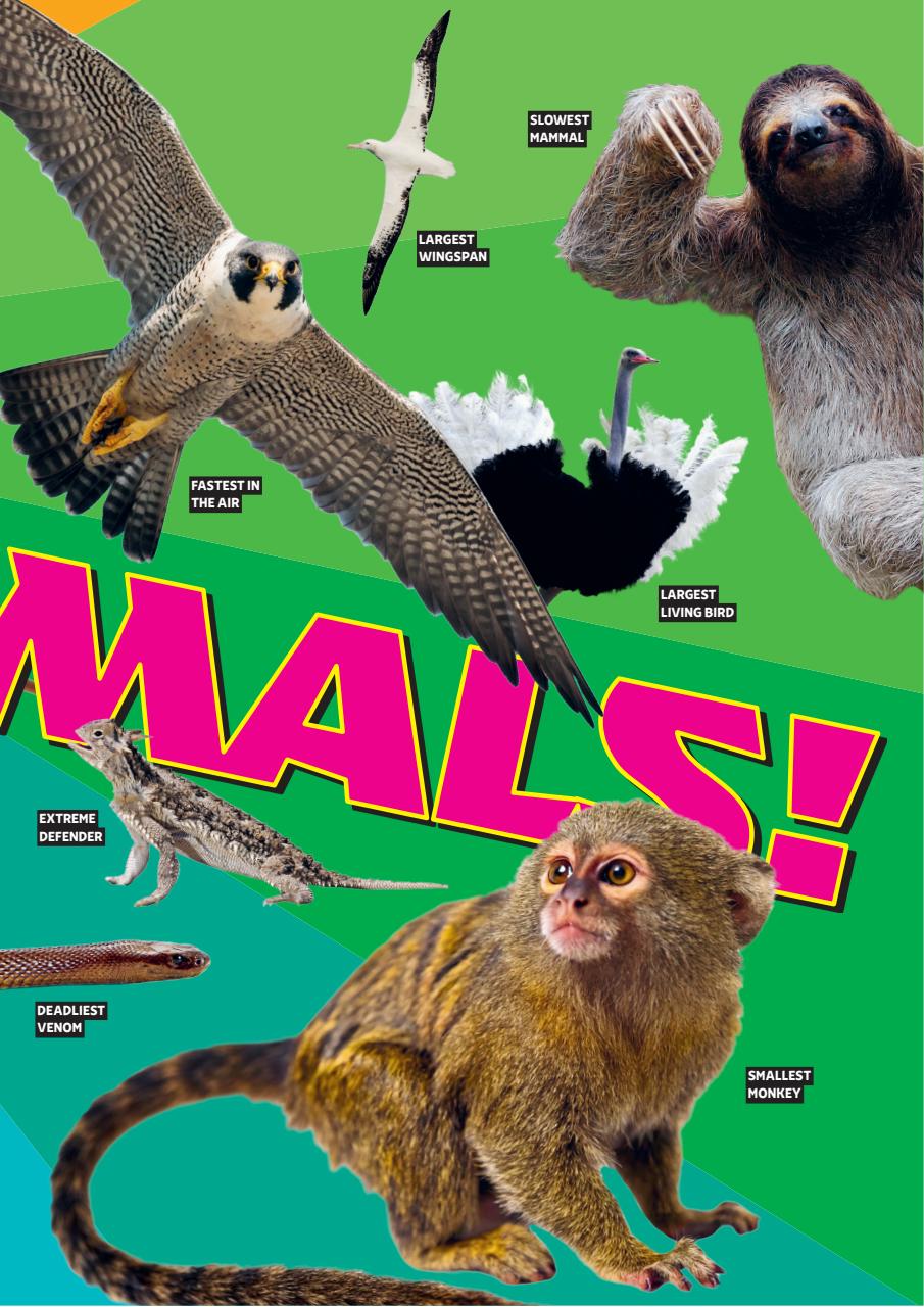 What on Earth! Magazine Preview Pages