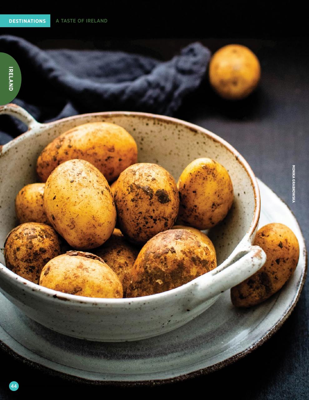 Taste & Travel International Preview Pages