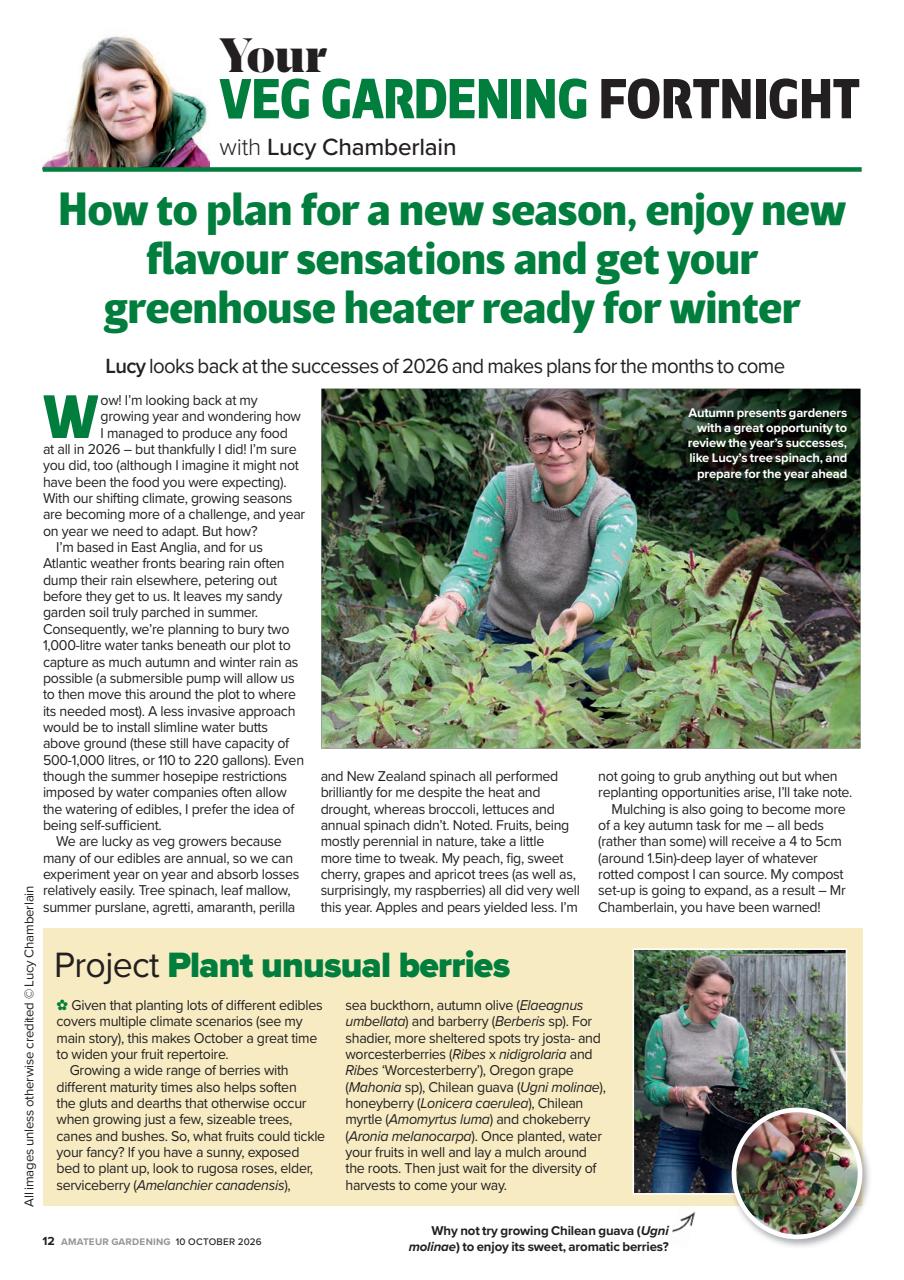 Amateur Gardening Preview Pages