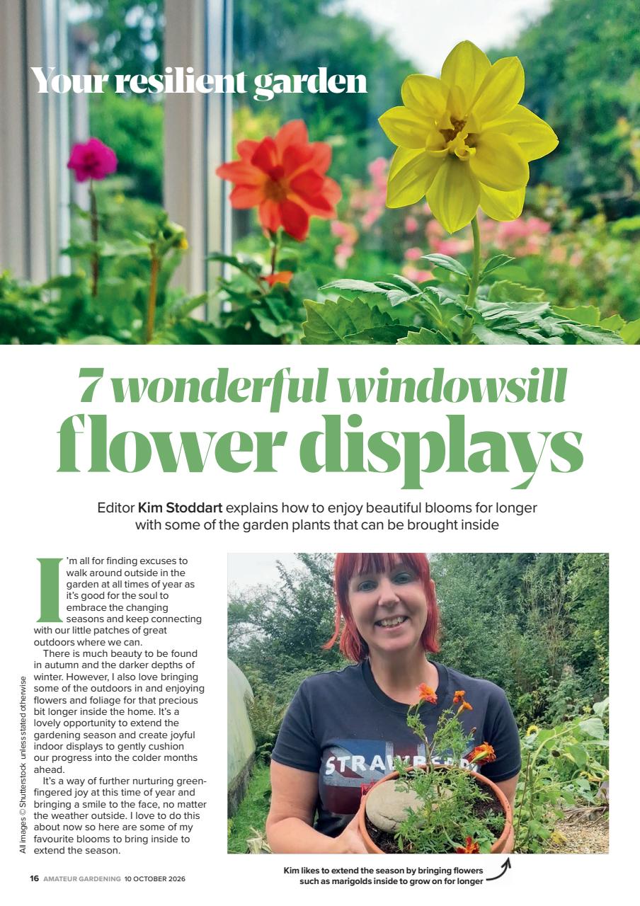 Amateur Gardening Preview Pages